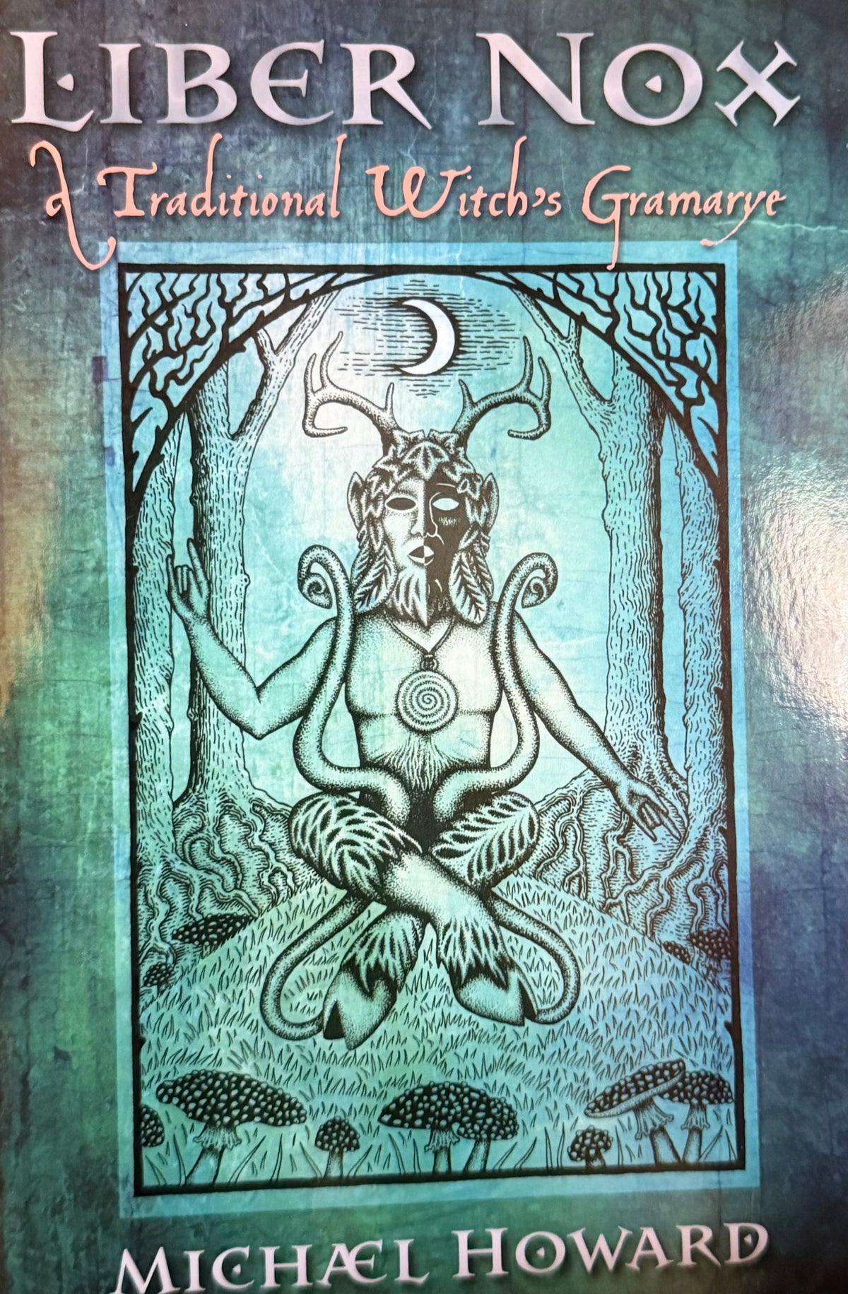 Michael Howard and 1 more
Liber Nox: A Traditional Witch's Gramarye